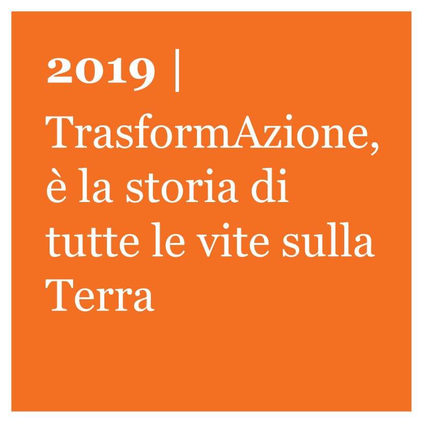 Edizione 2019